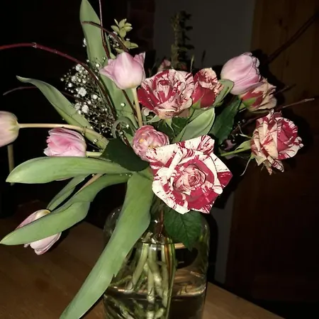 Auf Einer Ebene Fuer 25 Personen Mit Eigenem Garten Und Pool Heinsdorfergrund