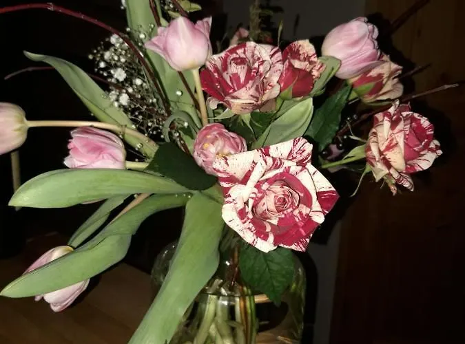 Auf Einer Ebene Für 25 Personen Mit Eigenem Garten Und Pool Heinsdorfergrund